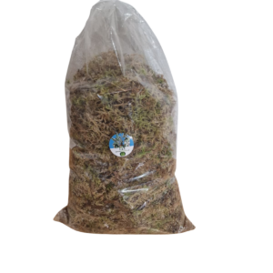 Moos, sphagnum, qualitativ, hochwertig